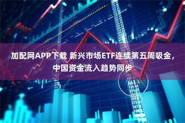 加配网APP下载 新兴市场ETF连续第五周吸金，中国资金流入趋势同步