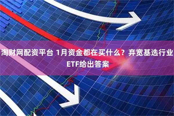 淘财网配资平台 1月资金都在买什么？弃宽基选行业 ETF给出答案