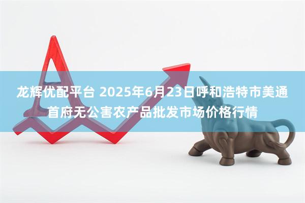 龙辉优配平台 2025年6月23日呼和浩特市美通首府无公害农产品批发市场价格行情