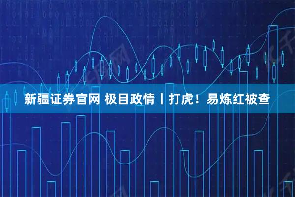 新疆证券官网 极目政情丨打虎！易炼红被查