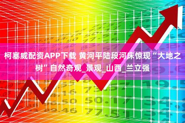 柯塞威配资APP下载 黄河平陆段河床惊现“大地之树”自然奇观_景观_山西_兰立强