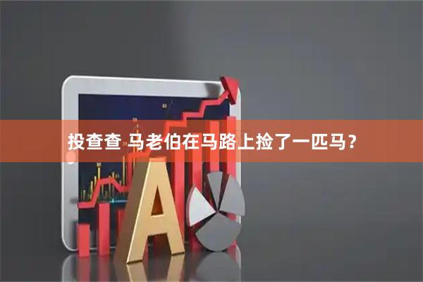 投查查 马老伯在马路上捡了一匹马？