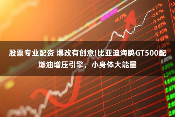 股票专业配资 爆改有创意!比亚迪海鸥GT500配燃油增压引擎，小身体大能量